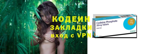 гашик Арсеньев