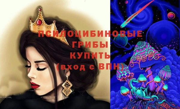 гашик Арсеньев