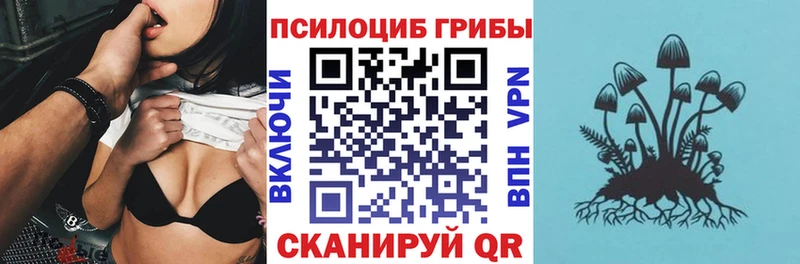 Галлюциногенные грибы Psilocybe  блэк спрут рабочий сайт  Озёрск 